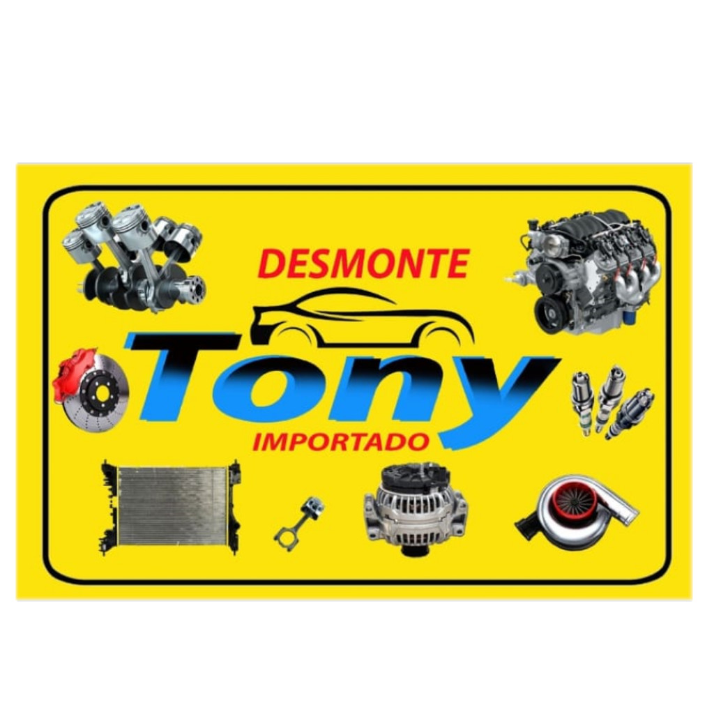 Moldura Aplique Tampa Traseira Citroën C3 Original 2003/2012