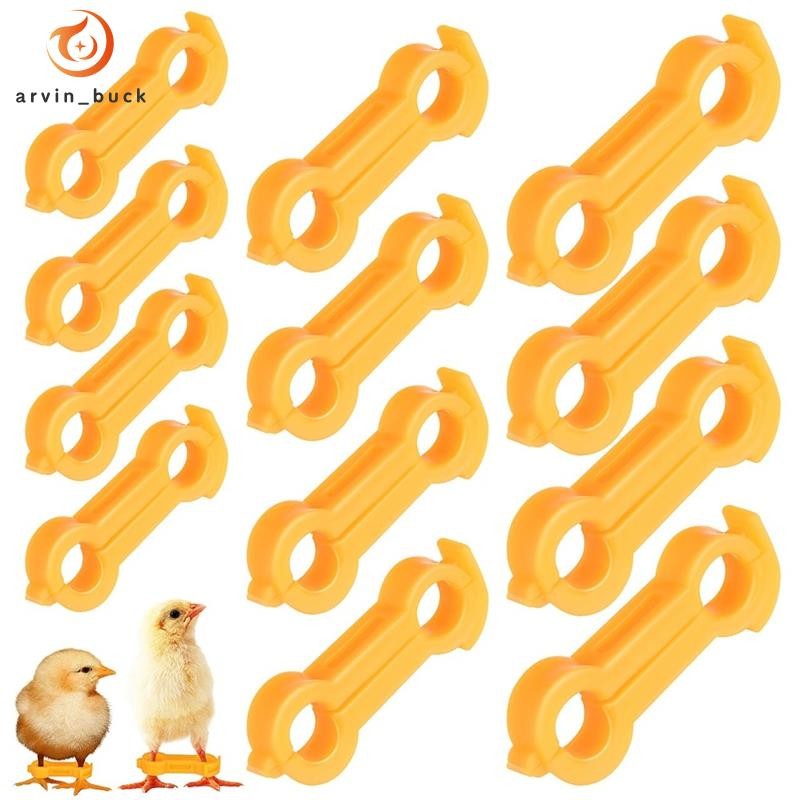 O que é Coisa para Brincar? Guia e Onde Comprar | BuscaProdutos