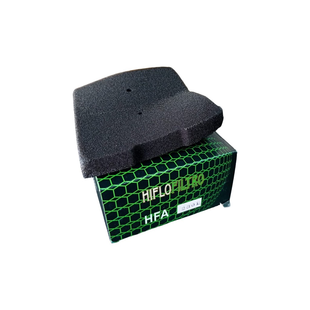 Filtro De Ar Hiflofiltro Kawasaki Versys 300-X Versys 300 Tourer