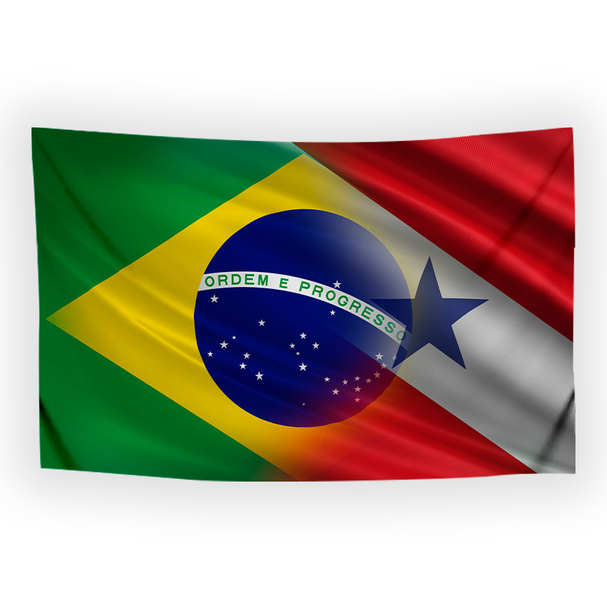 Bandeira BR x PARÁ Tecido Oxford