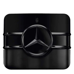 Mercedes Benz Sign Your Power Eau de Toilette - Perfume Masculino 100ml