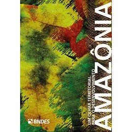 Um olhar territorial para o desenvolvimento: Amazônia de Nelson Siffert, Marcus Cardoso, Wasley De Assis ... 7599862