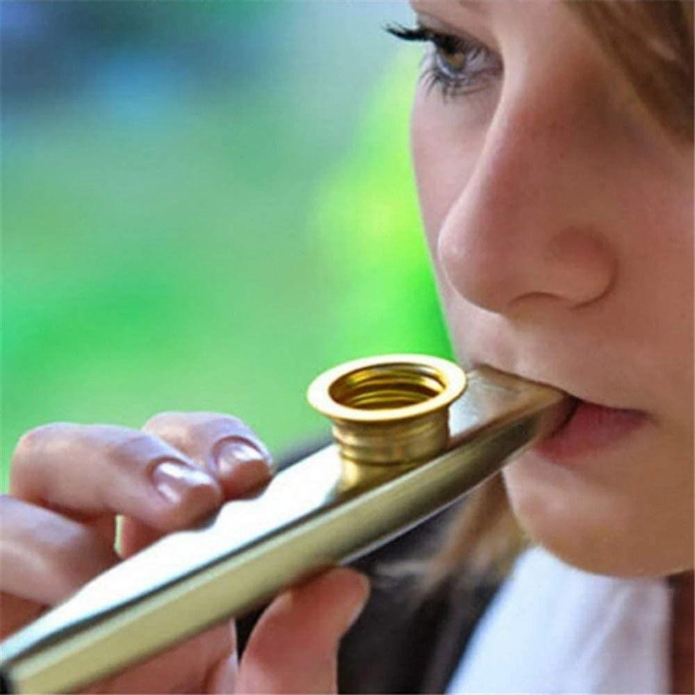 BRBLIFE Metal Kazoo , Instrumentos Aprendam Facilmente Diafragma Boca Kazoos , Flautas De Musicais Destacáveis
