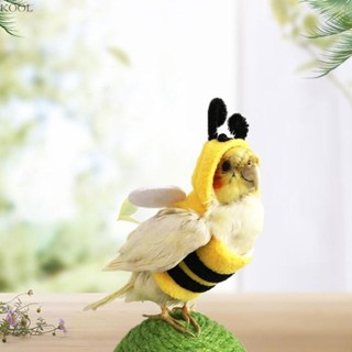 KOOL Papagaio Pássaro Traje Festa Terno Voo Lovebirds Calopsita Inverno em Oferta na Shopee