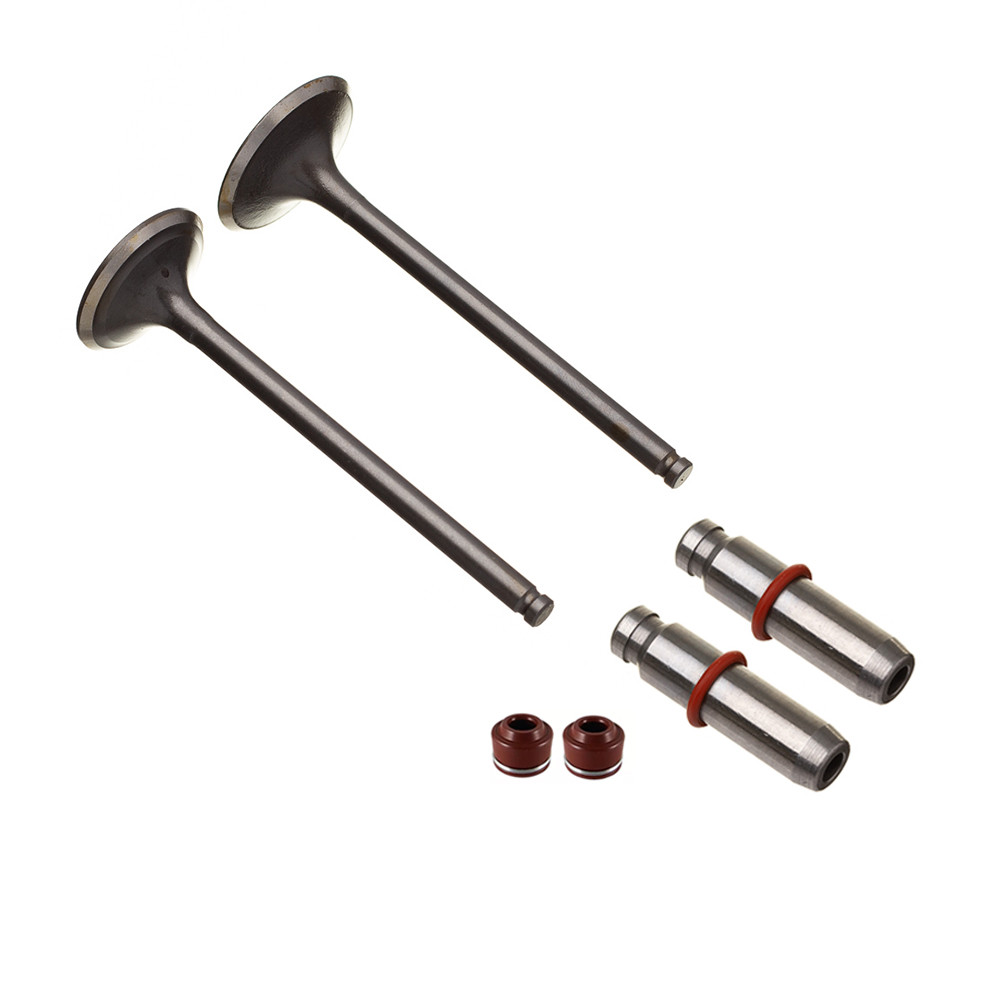 Valvula Guia E Retentor Kit (6pcs) Ww3 Cg 150 Over + 0.30mm