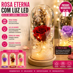 Rosa Eterna Com Luz LED Redoma De Vidro Presente Romântico Dia Dos Namorados Decoração