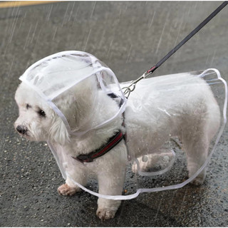 Capa De Chuva Para Cães Transparente Impermeável / Jaqueta Com Capuz Para Animal De Estimação em Oferta na Shopee