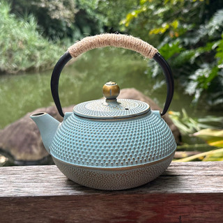 Chaleira de ferro colorida Retro antigo bule artesanal chaleira comércio exterior estilo japonês ferro fundido Kung Fu c
