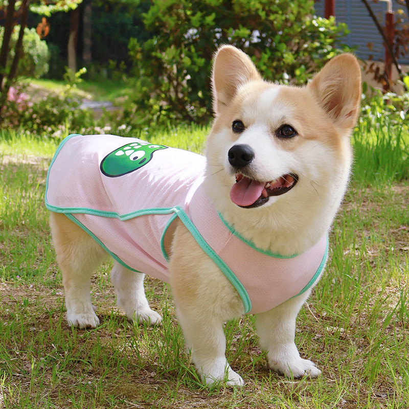 Shiba Inu Dachshund Bichon Corgi roupas anti-lint protetor solar cão roupas legais primavera verão fino anti-sujo colete