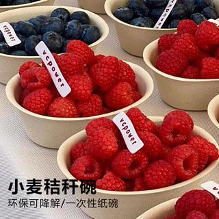 Tigela de polpa de papel decomposável descartável, redonda, para viagem de frutas, casa, espessada e dura, tigela de jan