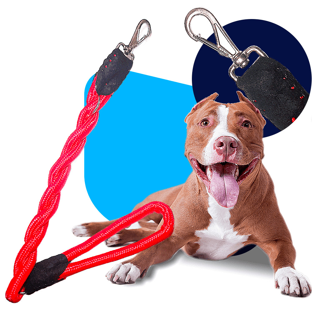 Guia para Cachorro Corda Trançada 16mm x 60cm - Resistente e Confortável - Pitbull, Rottweiler, Pastor Alemão, Boxer