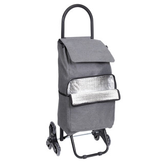 Carrinho Compras Feira Térmico Sobe Escada 40kg