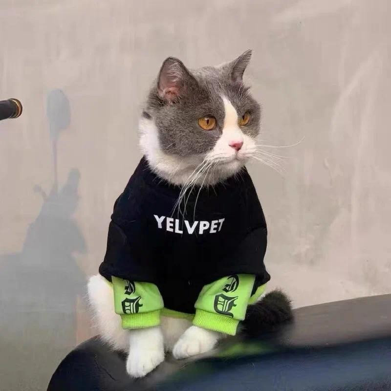 Moletom Com Capuz Para Animais De Estimação , Roupas Cães E Gatos , Primavera , Chihuahua , Bichon , Poodle , Sólido , M