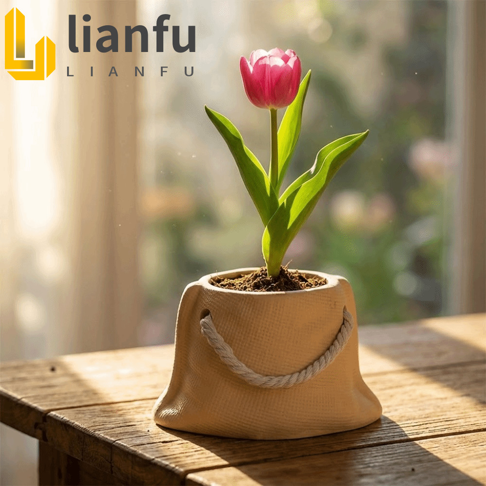 Vaso De Flores Suculento LIANFU , Mini De Cacto De Cerâmica , Saco Decorativo Criativo Em Forma De Plantas Para Escritór