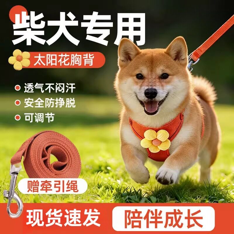 Cão Shiba Inu roupas especiais peito volta trela sela colete estilo cinta cão andando trela filhote de cachorro pequeno