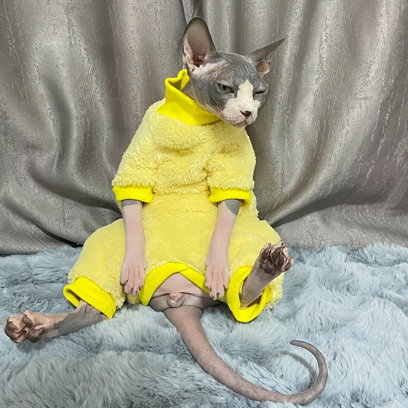 Roupas Quentes de Outono/Inverno para Gatos Sem Pelo, Roupas de Quatro Patas para Gatos Sphynx e Devon Rex, Proteção Tér