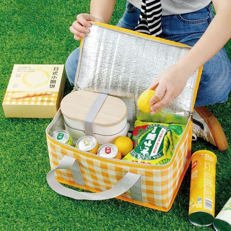 Bolsa Térmica Dobrável Multiuso Retrátil– Para Marmita, Piquenique, Praia e Viagem