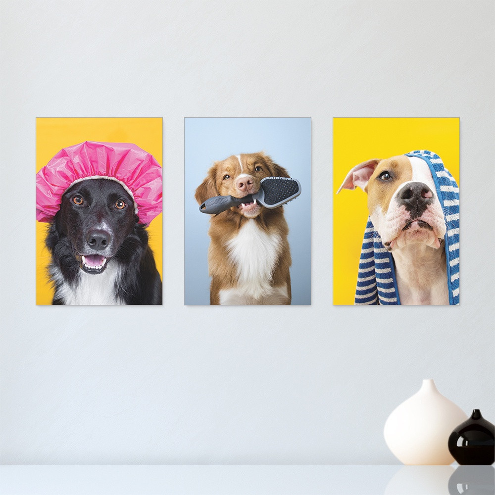Quadros Decorativo Mosaico 20x28 3 peças Mdf Alta Resolução Full HD pet shop banho tosa caes animais