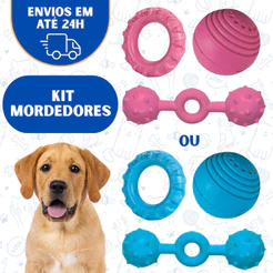Kit 3 Mordedores para Cães Grandes Borracha Maciça Resistente