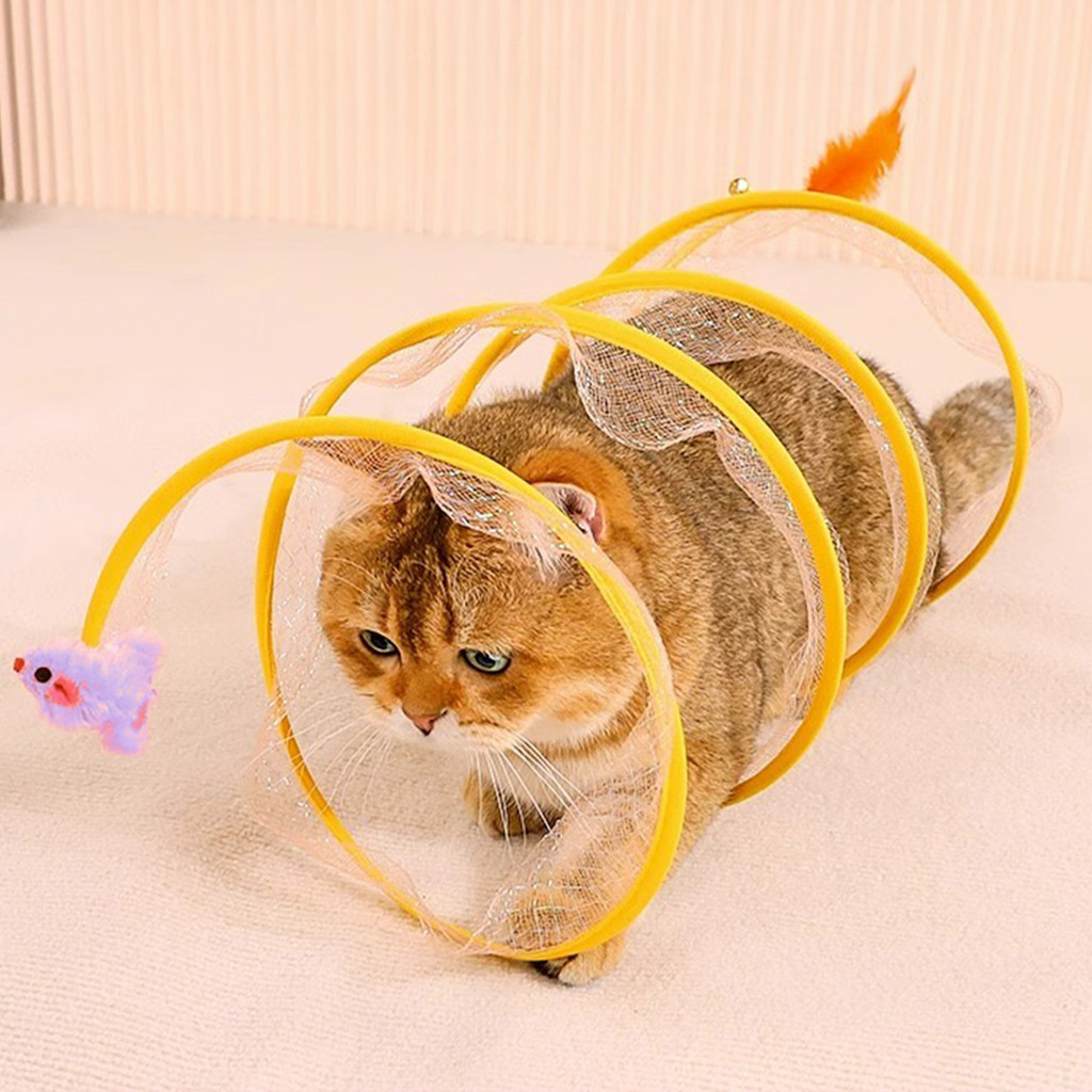 Playground Cachorro Pequeno: Onde Comprar | BuscaProdutos