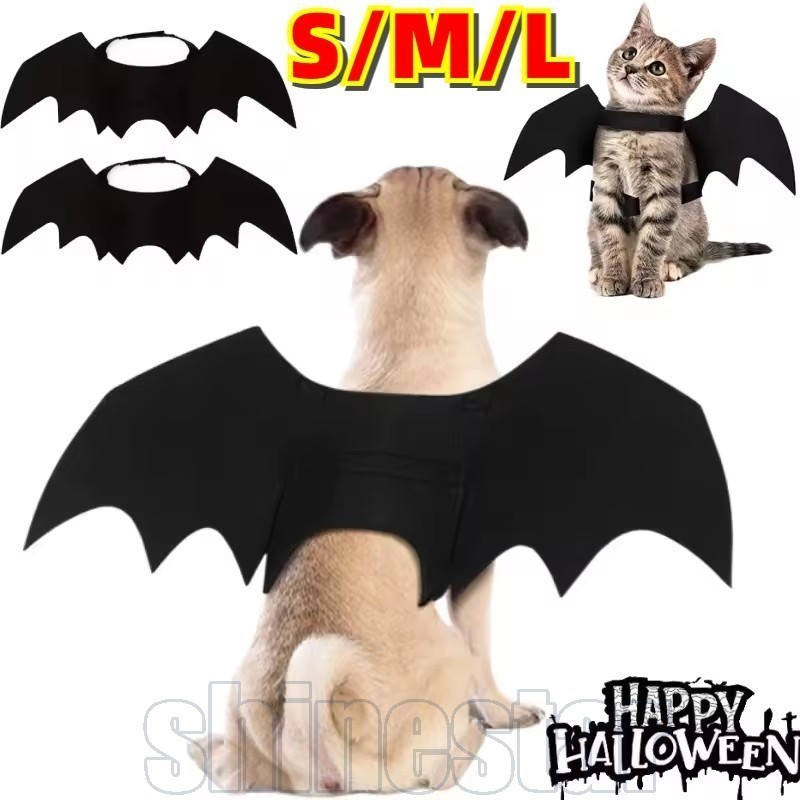 Asas Morcego Gato: Onde Comprar | BuscaProdutos