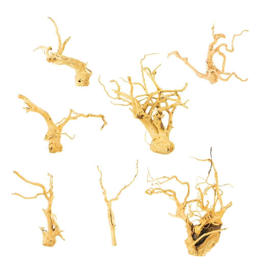 TRONCO RAIZ SOMA SPIDER ROOT 30-50CM (VENDA POR KG)