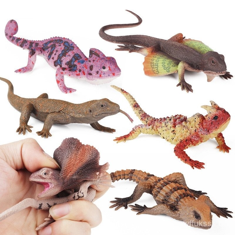 TPR Lagarto De Borracha Macia Para monitor De Insetos Camaleão Crianças Modelo De Brinquedo Cognitivo De Descompressão a