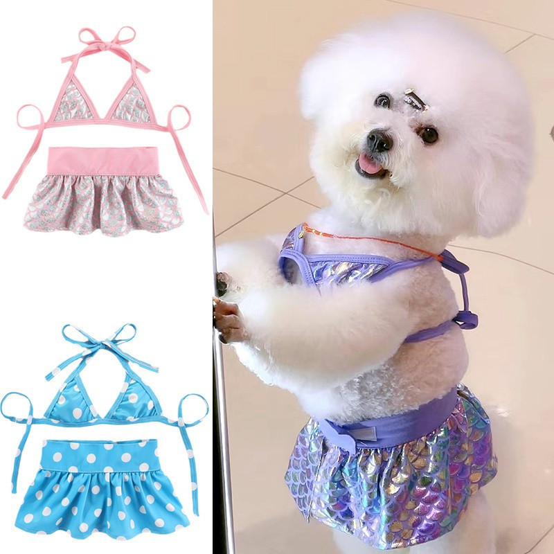 Biquíni Cachorro: Onde Comprar | BuscaProdutos