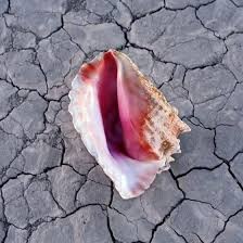 CD The Killers - Wonderful Wonderful (2017) Deluxe