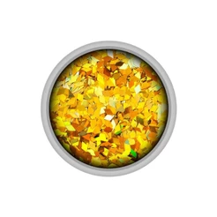 Glitter Colormake Shine Diamante Ouro 2g