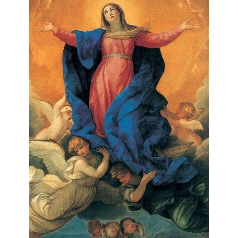Assunção de Nossa Senhora. Quadro Decorativo (versão original).