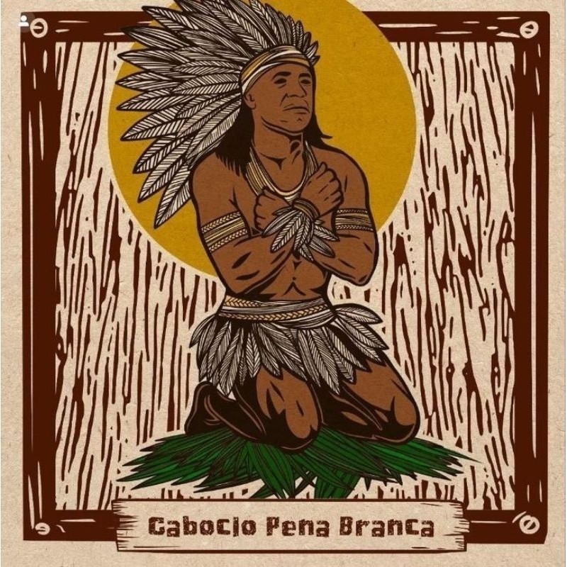 QUADRO DECORATIVO PLACA MDF- DESENHO CABOCLO PENA BRANCA DE JOELHOS NO CHÃO