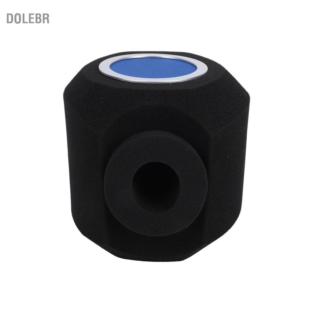 dolebr Matybobe Capa de espuma para pára-brisa portátil Estúdio profissional Filtro pop acústico Microfone Redução de