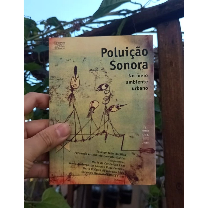 Solange da Silva, Fernando Dantas / Poluição Sonora No Meio Ambiente Urbano / 2004