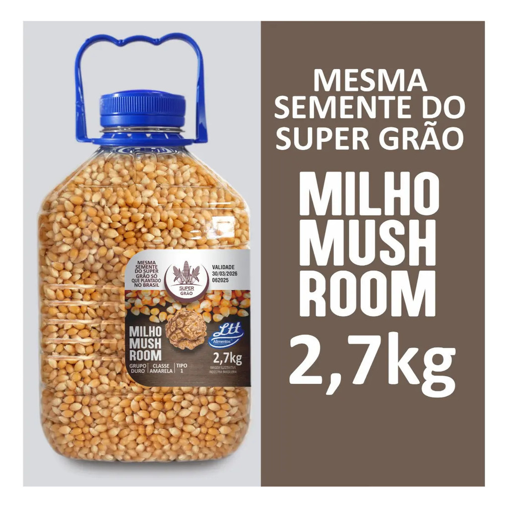 Milho Mushroom De Pipoca Gourmet Galão 2,7kg - MILHO COGUMELO
