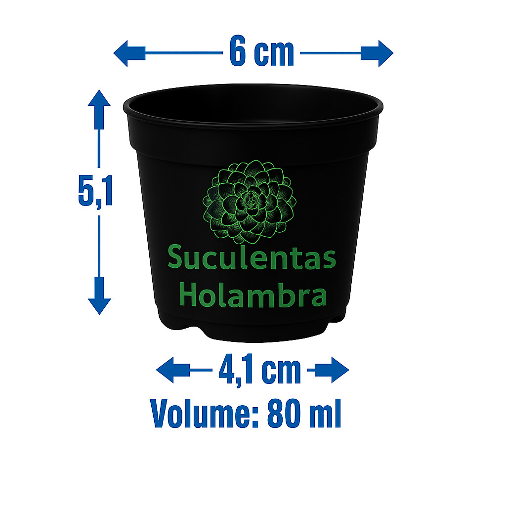 Kit 100 Vasos Pote 6 - REFORÇADO Cor Preta 80 ML Suculentas Cactos Suculentas Cactos em Oferta na Shopee