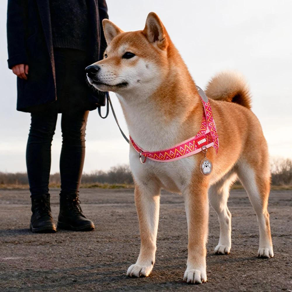 Arnês Para Cães De Todas As Raças , Sela Impressa Da Moda , Colete Acolchoado Macio Ajustável Sem Tração Com Alça Animai
