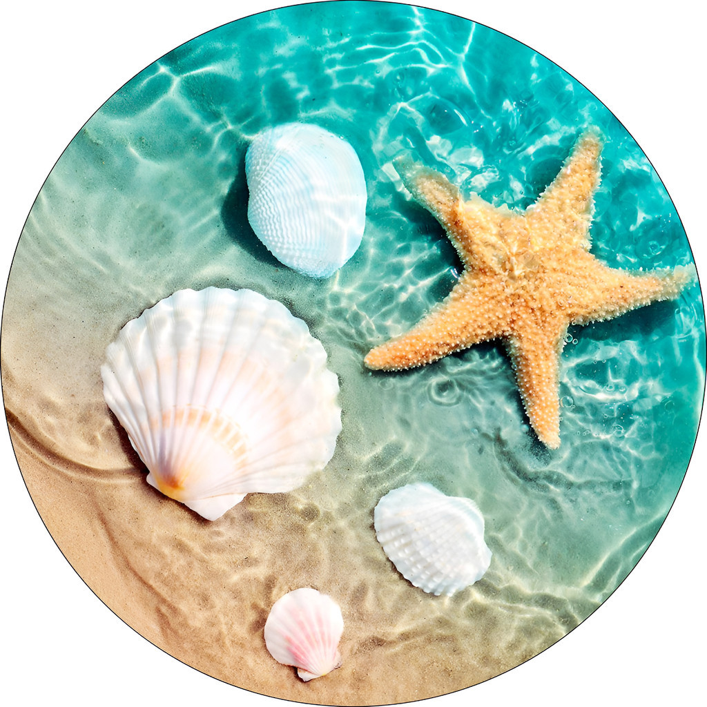 Capa Redonda Sublimada Para Painel De Festa Infantil Tema Praia Conchas Meninos Meninas Aniversario 50x50cm