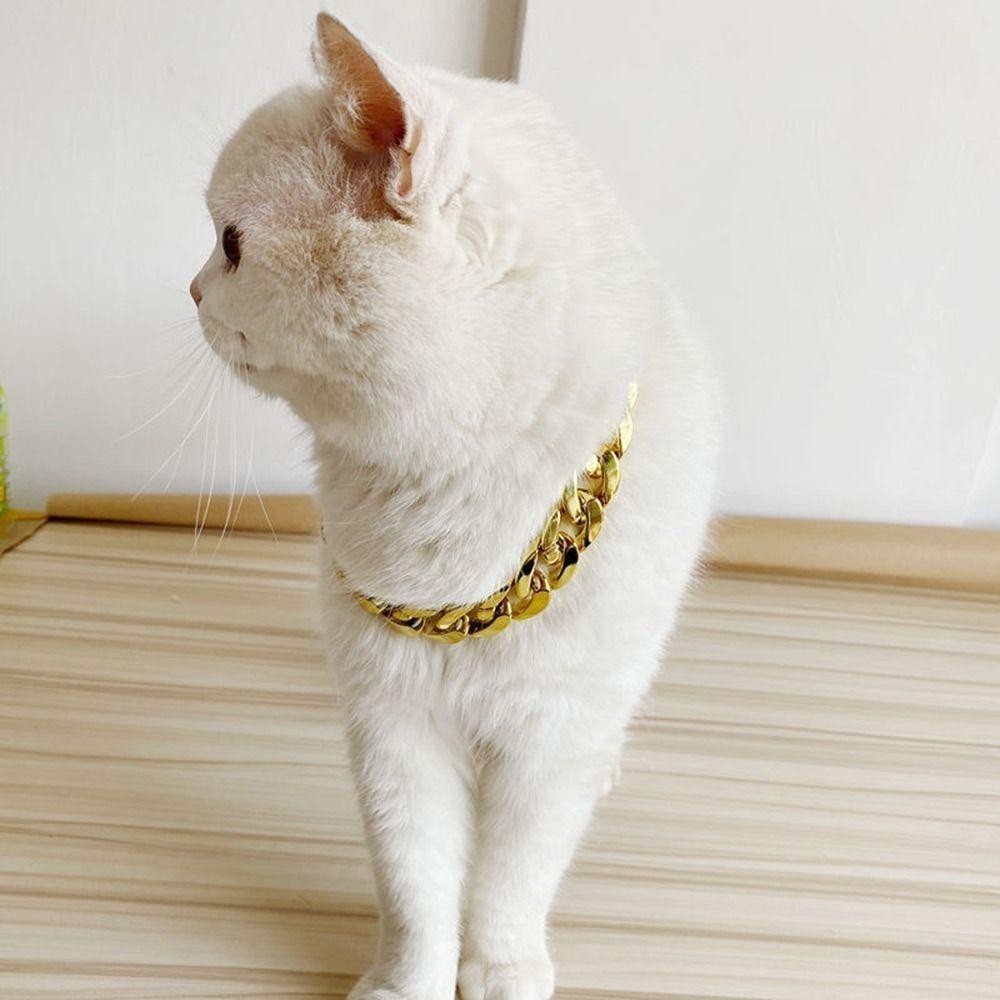PARPERTY1 Coleira De Corrente Para Cães , Colar Ajustável De Ouro E Gatos Pitbull — imagem 2 de 2