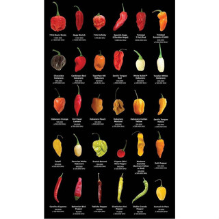 pimentas mas ardidas do mundo mix especies100 Sementes de Com Manual de cultivo SS em Oferta na Shopee