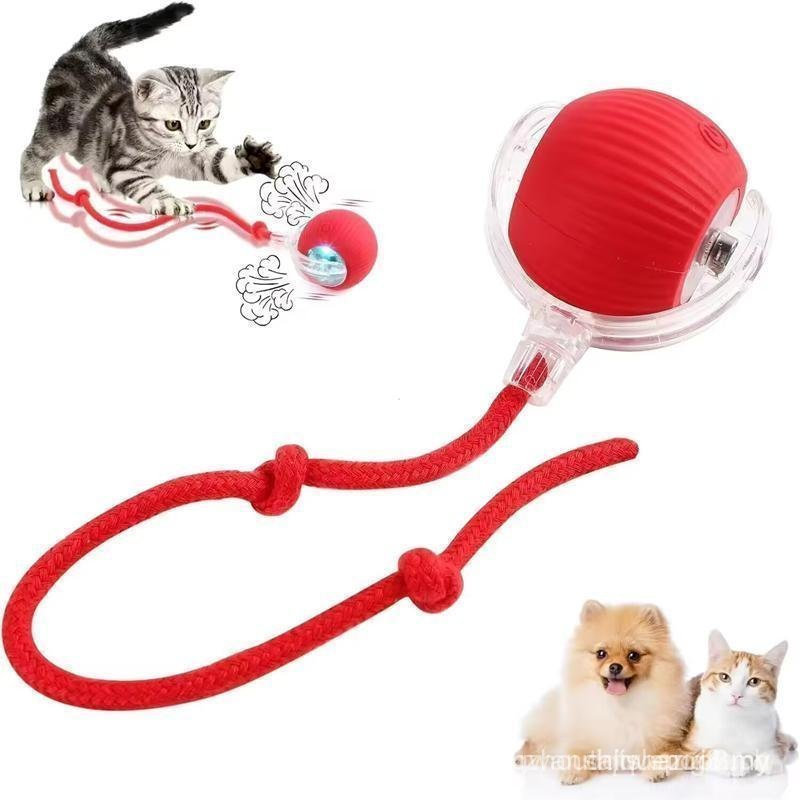 Presente para Animais de Estimação, Brinquedo Elétrico para Gatos com Corda, Brinquedo Interativo para Gatos, Brinquedo