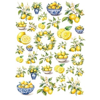 Decalque Hidro Transfer - Limão Siciliano mix em Oferta na Shopee