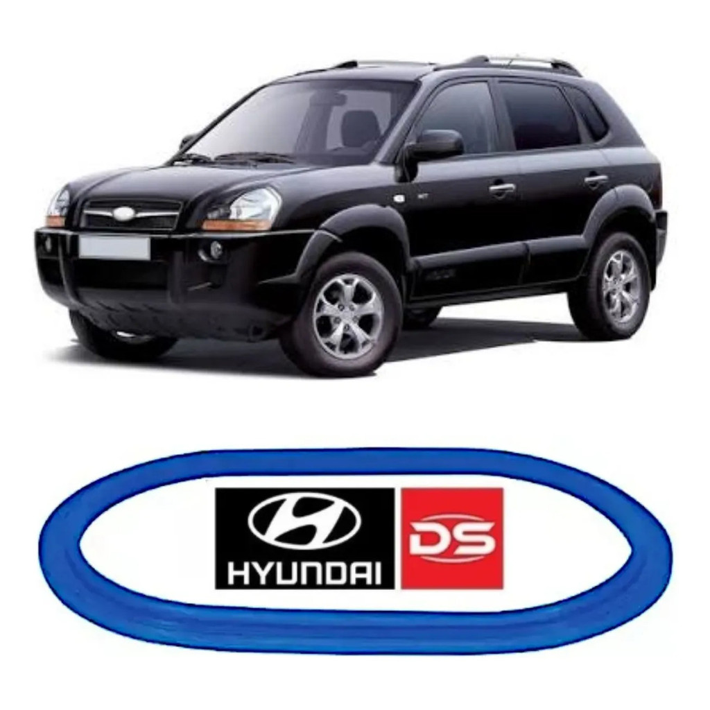 Anel Guarnição Vedação Flange Tampa Bomba Combustível Hyundai Tucson 2.0 16v 2005 a 2012 DS1478