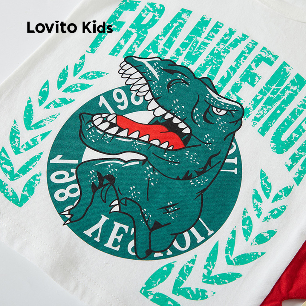 Detalhes do Lovito Kids Camisa Casual  Camiseta de Primavera/verão Macia e Confortável para menino LNL111121