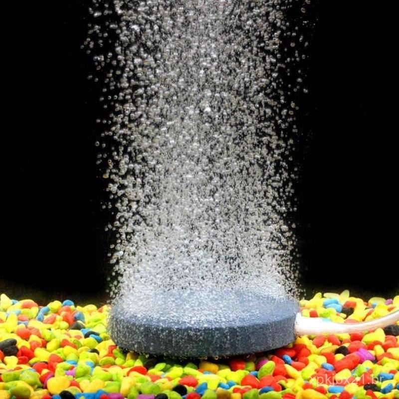Pedra de Ar para Tanque de 40mm Bomba de Aquário Placa de Oxigênio Hidropônico KIFI em Oferta na Shopee