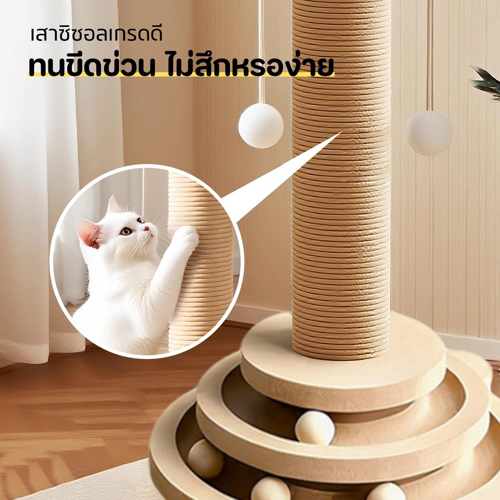 😻 【4in1】เสาลับเล็บแมว แผ่นลับเล็บ คอนโดแมว ของเล่นแมว กันลื่น วัสดุไม้แท้ แข็งแรง ทนทาน - ภาพที่ 5