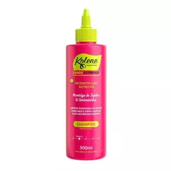 Shampoo Kolene Danos Extremos 300ml