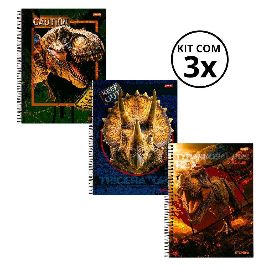 Kit Com 03 Cadernos 01 Matéria Universitário 80 Folhas Stone - Jandaia KIT:KIT 06 em Oferta na Shopee