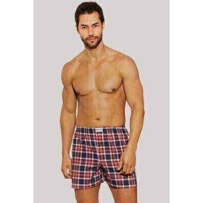 Cueca Samba Canção Presidente 100% Algodão Sortidas 02SC