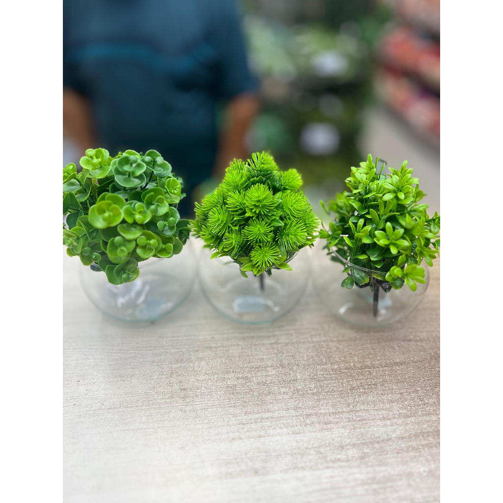 Arbustos Artificiais Decoração: Onde Comprar | BuscaProdutos